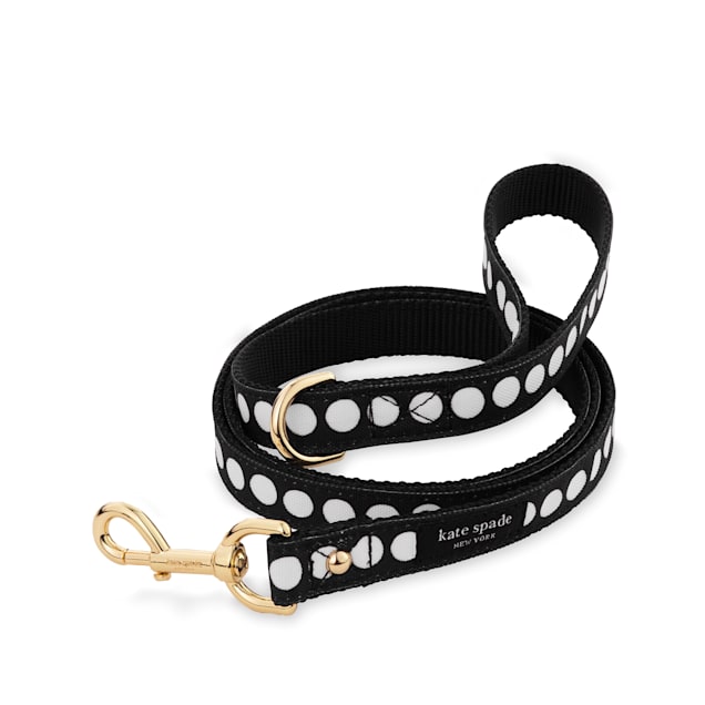 Kate Spade Art Dot Small Dog Leash with Gold Clip & DRing