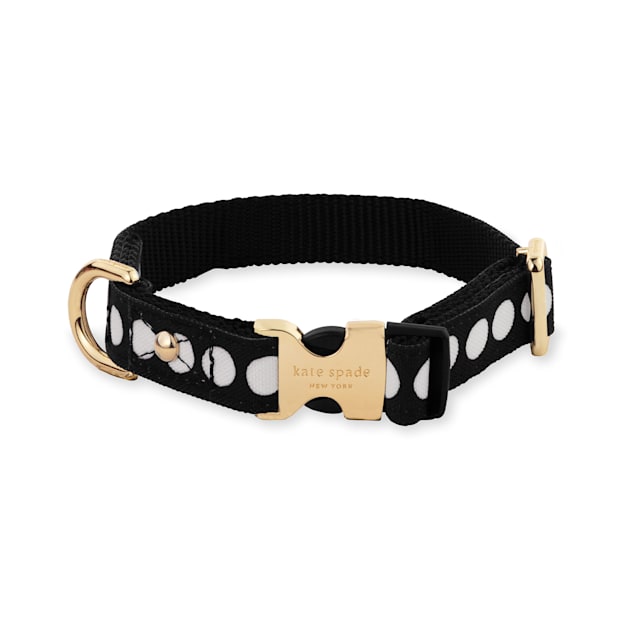 Kate spade dog top accessories