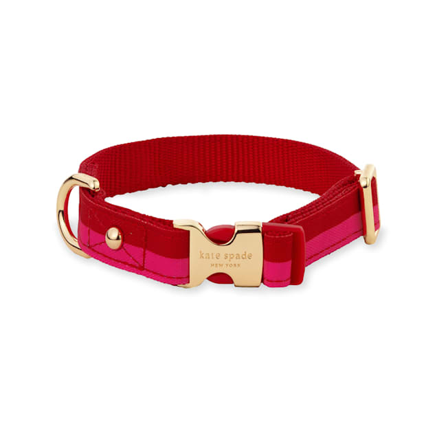 Petco kong collar sales