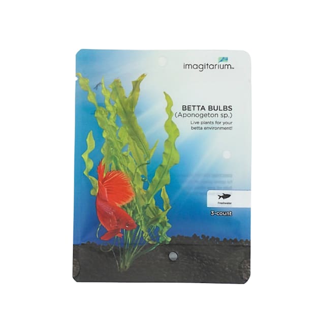 Betta Bulbs