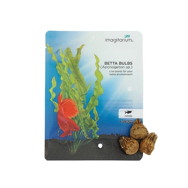 Betta Bulbs | Petco