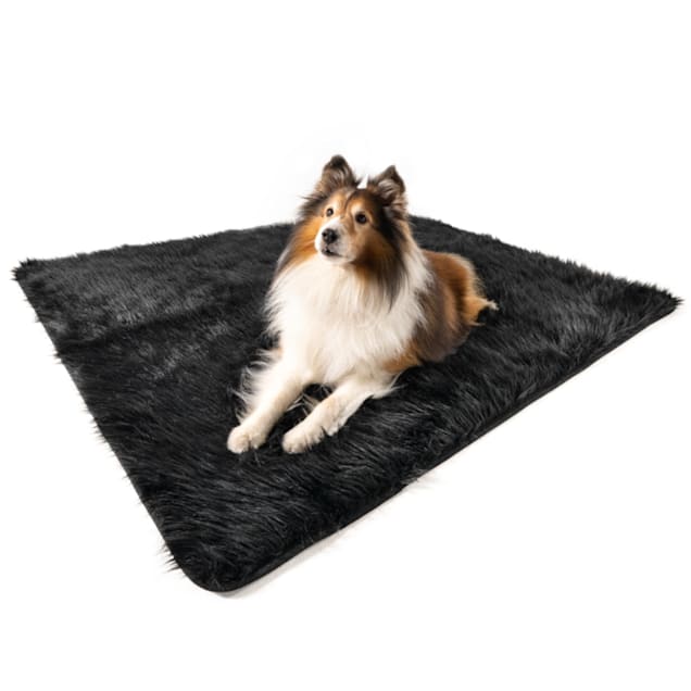 Paw Brands PupProtector Waterproof Dog Throw Blanket, 80 L x 62 W x 1 H, Midnight Black