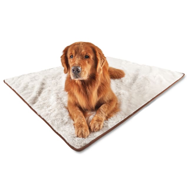 Throw blanket with dog online