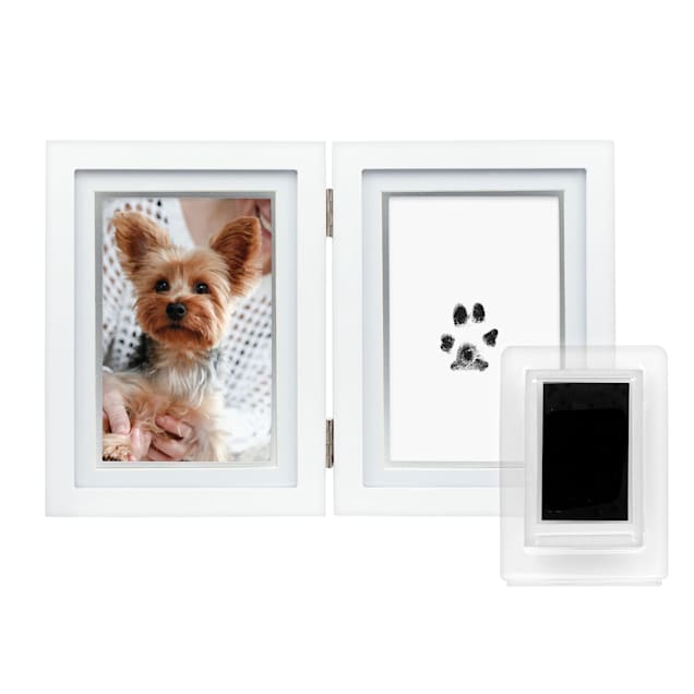 Paw print store kit petco
