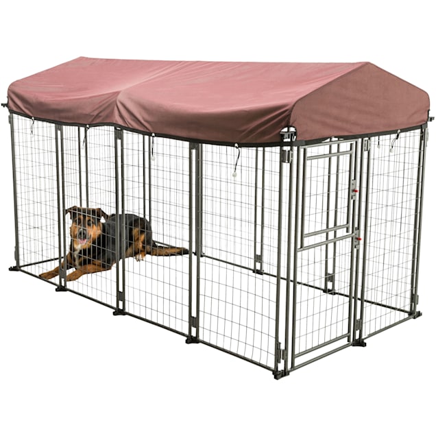 Petco large clearance dog house