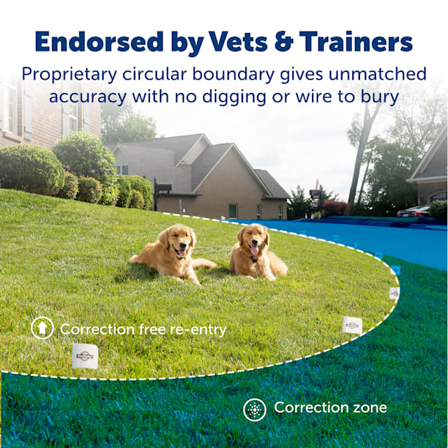 Petco dog fence outlet