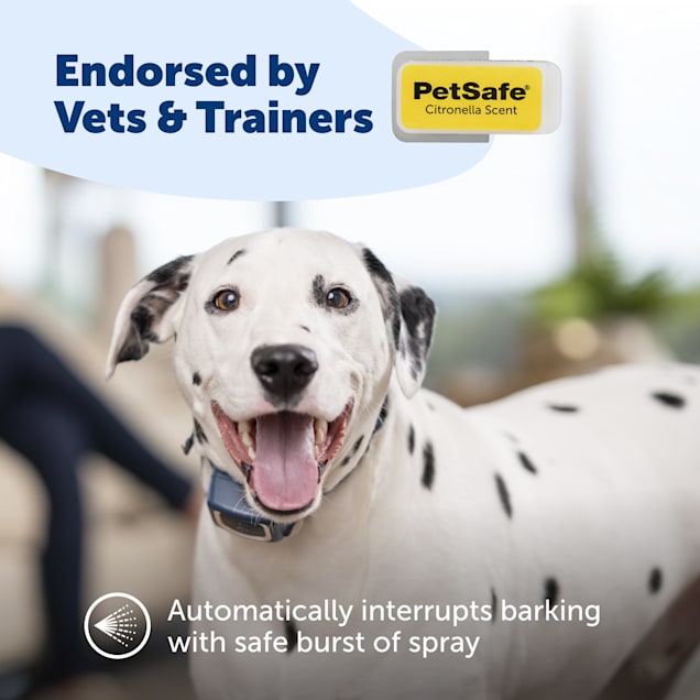 Petsafe spray trainer new arrivals