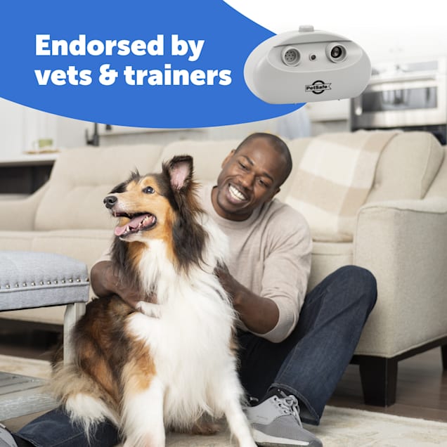 Petco dog silencer shop