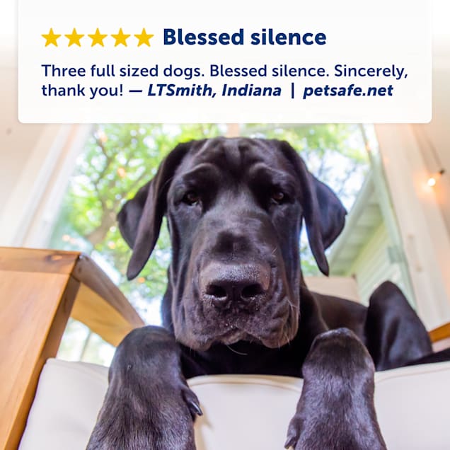 Petco bark control online