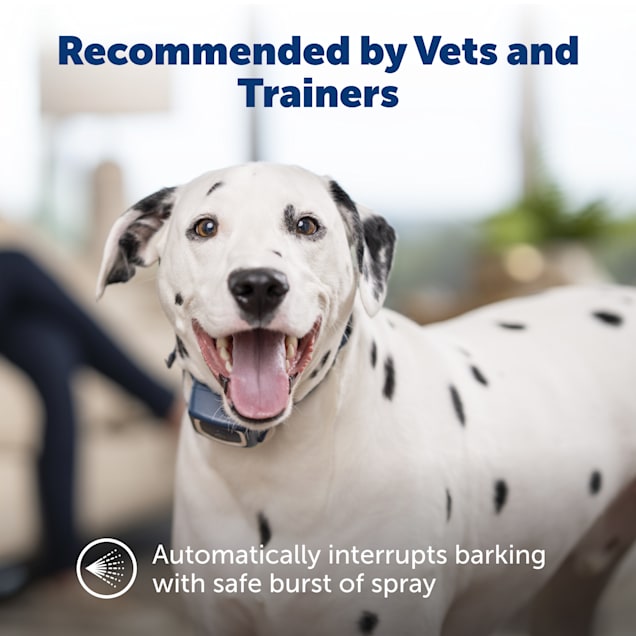 PetSafe Spray Bark Rechargeable and Water Resistant Dog Collar Petco