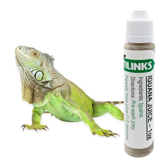 Blue iguana new arrivals petco