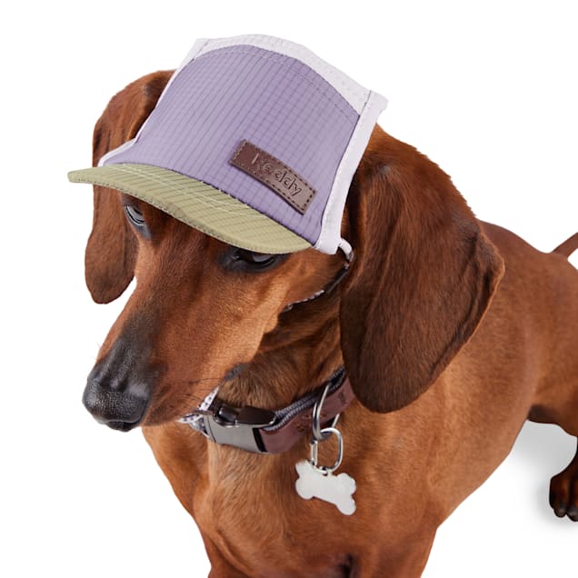 Reddy dog backpack sale