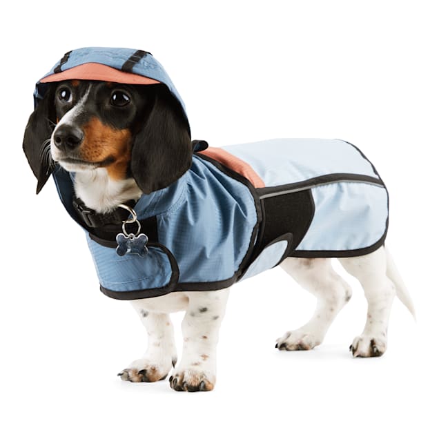 Reddy dog raincoat top