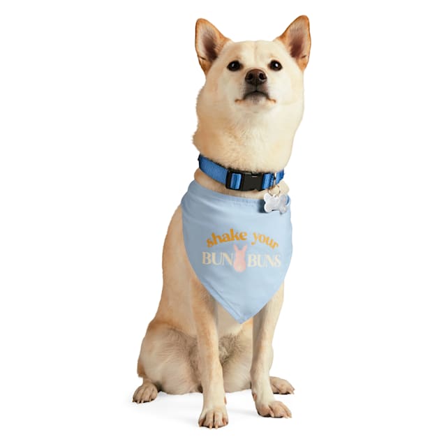 Petco birthday bandana shop