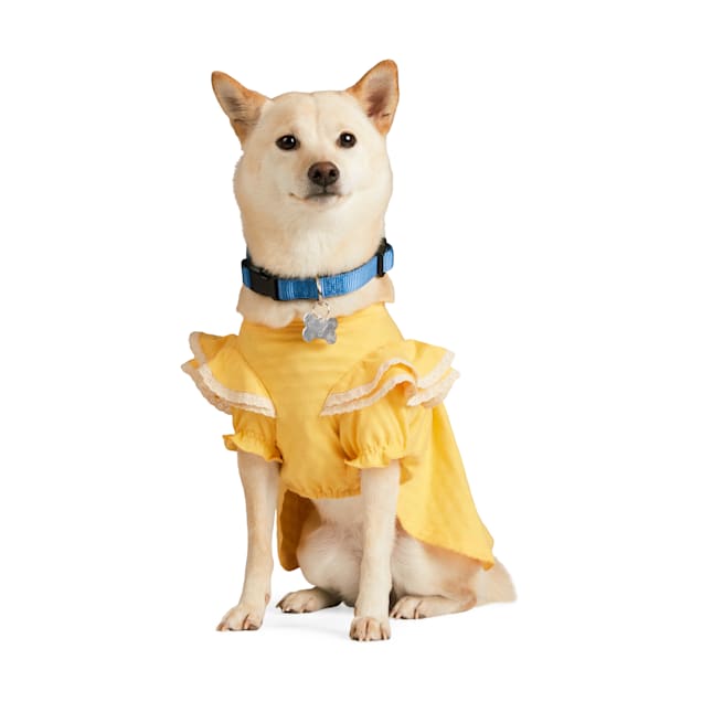 Petco dresses outlet