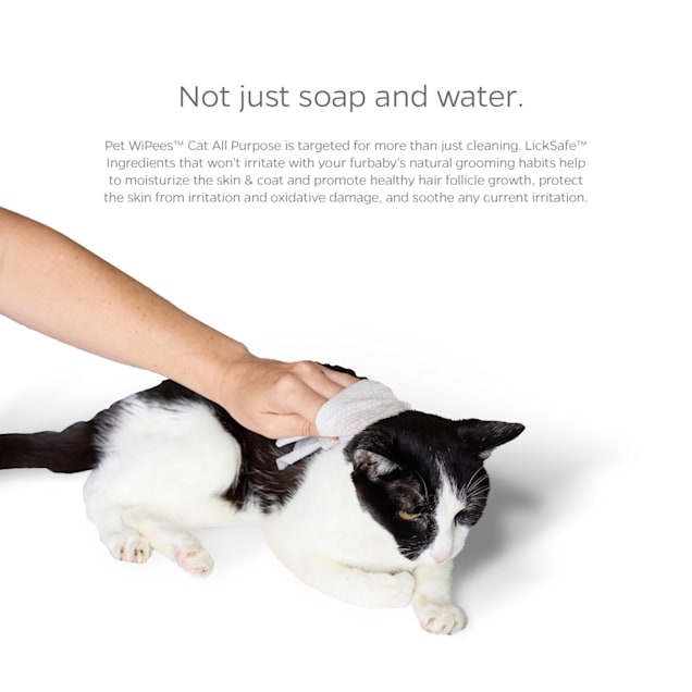 Pet Parents Pet WiPees Cat All Purpose Cat Wipes Natural Scent