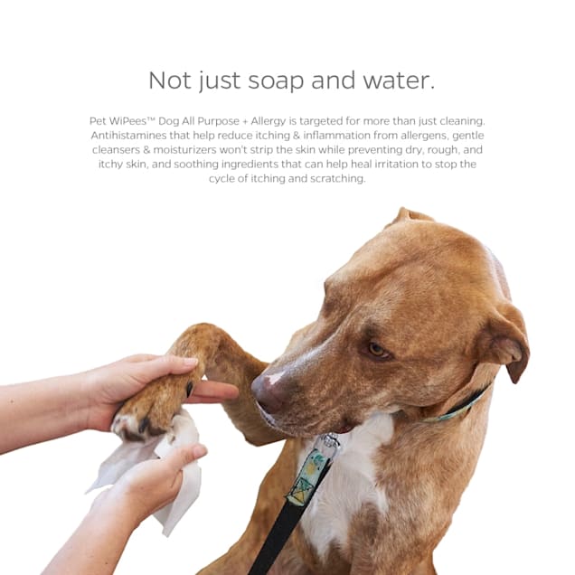 Pet Parents Pet WiPees Dog All Purpose Allergy Dog Wipes