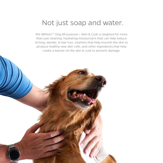 Dog skin wipes best sale