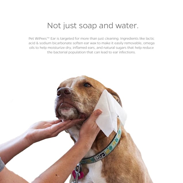 Pet Parents Pet WiPees Ear Cat Dog Ear Wipes Natural Scent Count of 100