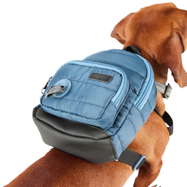 Small dog backpack sale
