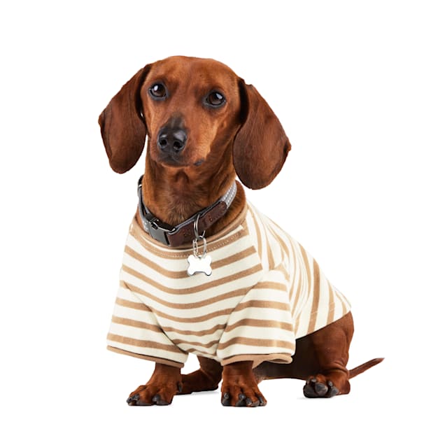Reddy Stripe Tee for Dogs Tan Small