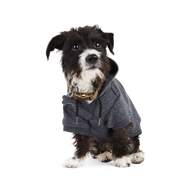 Petco dog hoodies outlet