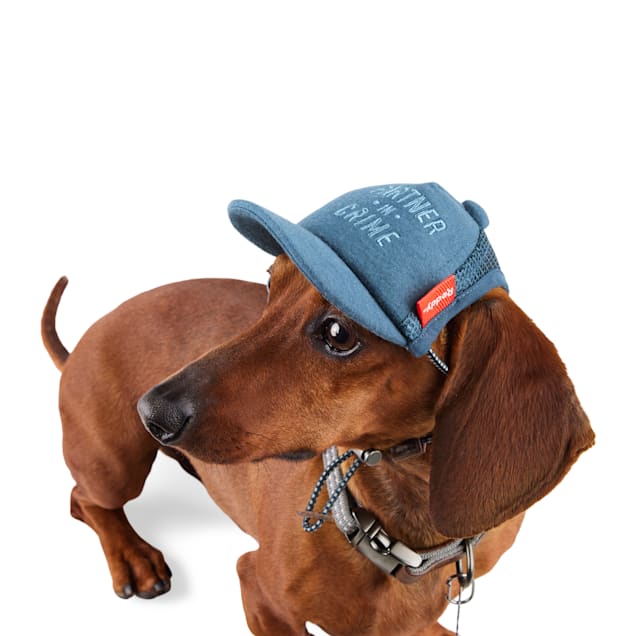 Reddy Navy Dog Hat XS S Cozy Adjustable Fit