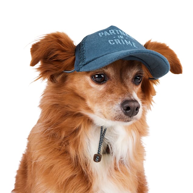 Reddy Navy Partner in Crime Hat for Dogs, Small/Medium