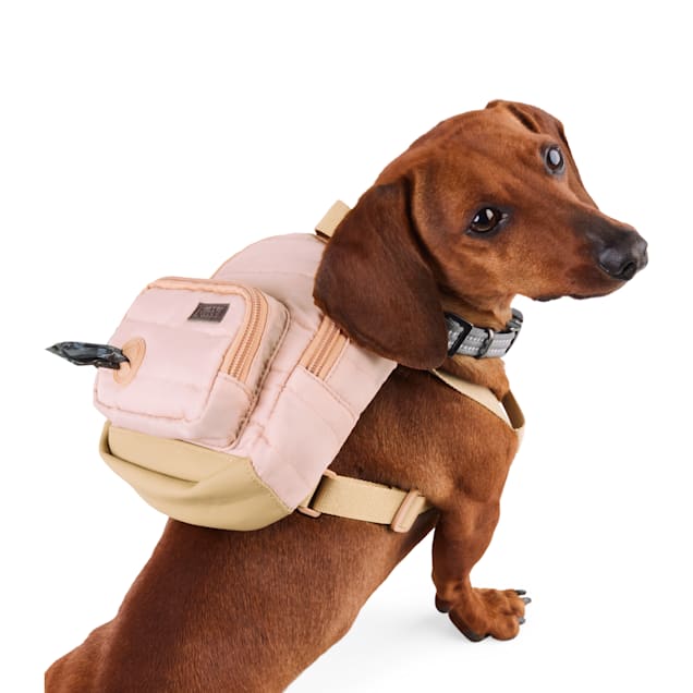 Reddy dog backpack 2025