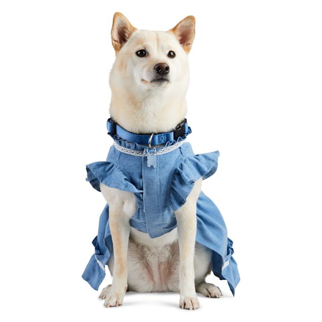 YOULY Chambray Lace Dog Dress XX Small Blue