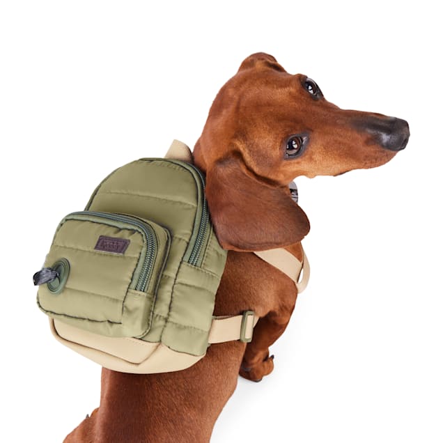 Petco dog backpack deals