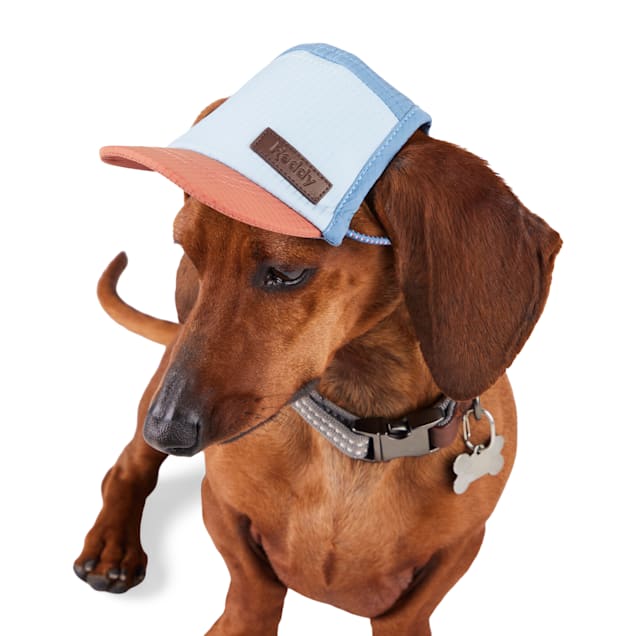 Dog hats petco 2025
