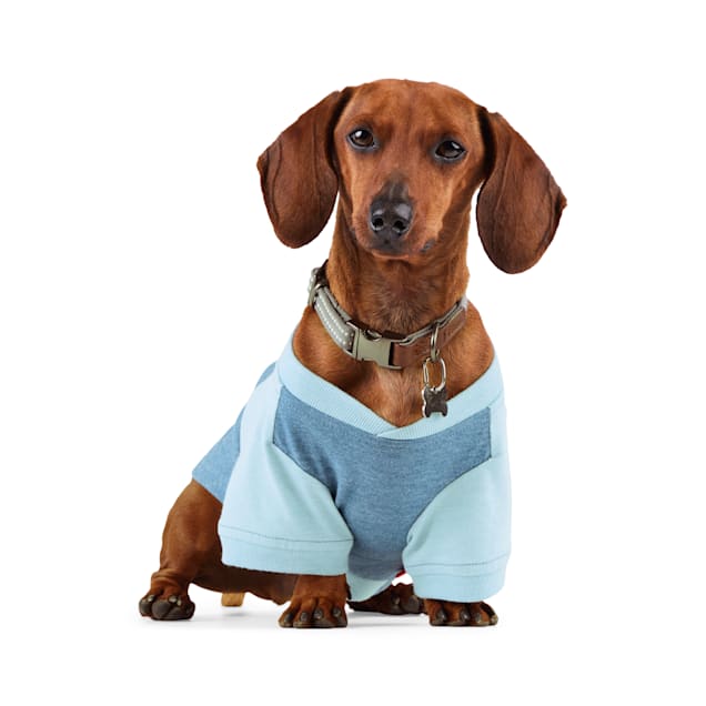 Petco dog t shirts clearance