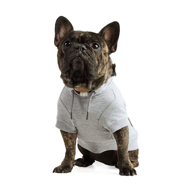 Soft Side Sweatsuit for Dogs