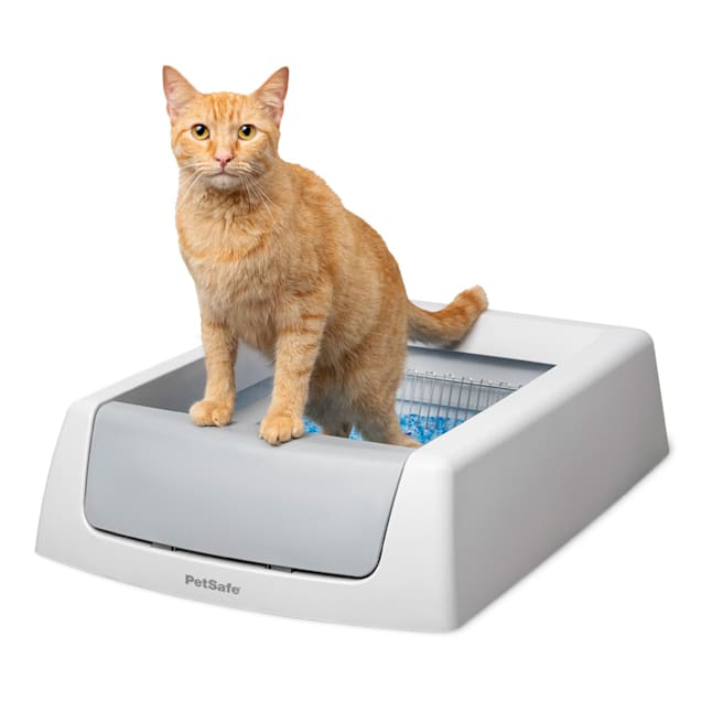 ScoopFree by PetSafe Complete Classic Auto Self-Cleaning Cat Litter Box