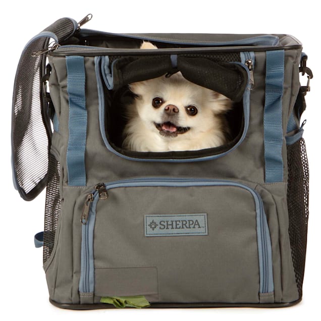 Dog totes new arrivals