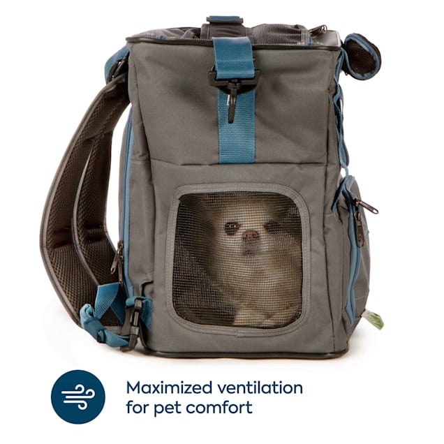 Pet backpacks hot sale