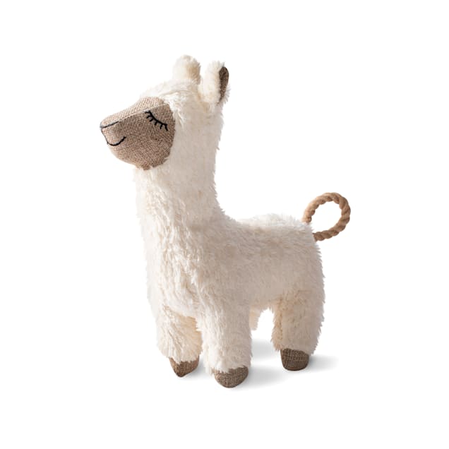 Water bottle dog toy petco sales