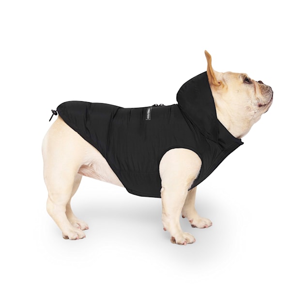 Canada goose dog jacket hombre outlet