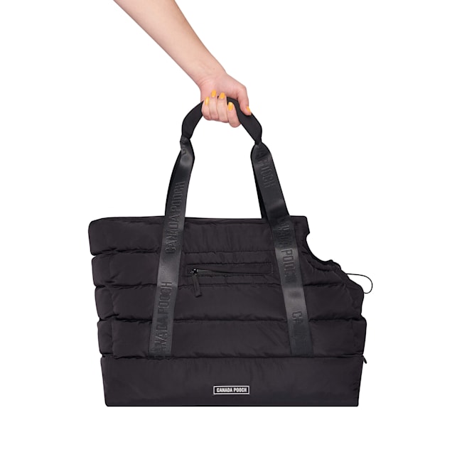 Pooch carrier 2025