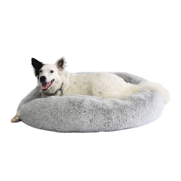 The calming hotsell bed for dogs