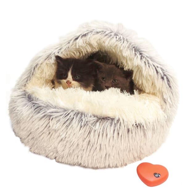 Plush palace kittens outlet