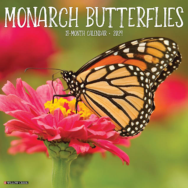Willow Creek Press Monarch Butterflies 2024 Wall Calendar, 12" L X 12