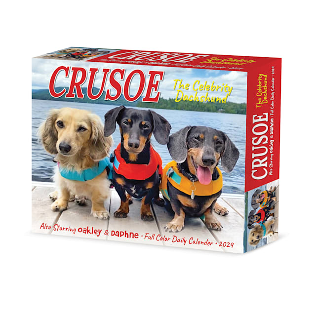 Willow Creek Press Crusoe the Celebrity Dachshund 2024 Box Calendar, 6.