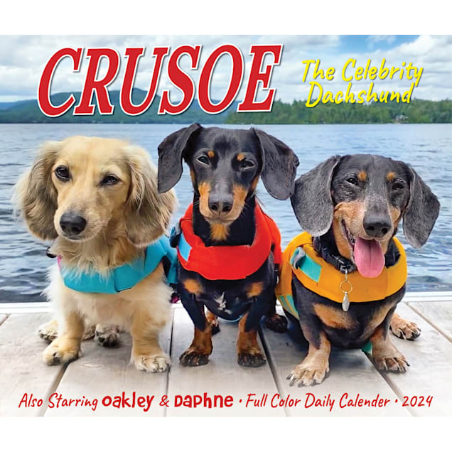 Crusoe the celebrity dachshund store discount