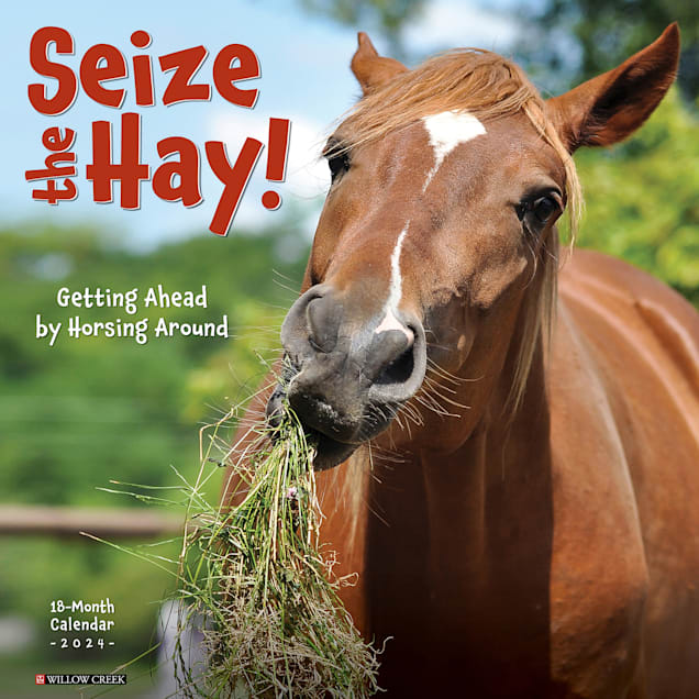 Willow Creek Press Seize the Hay 2024 Wall Calendar, 12" L X 12" W