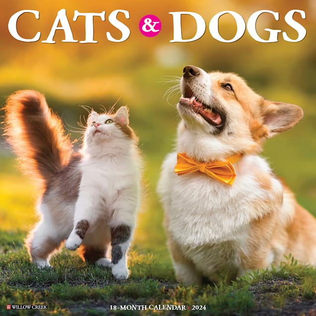 Willow Creek Press Cats & Dogs 2024 Wall Calendar, 12" L X 12" W, Large