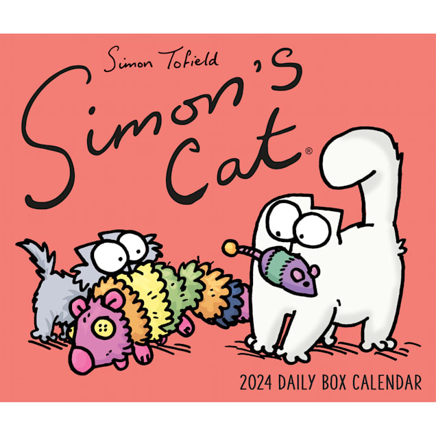 Willow Creek Press Simon's Cat 2024 Box Calendar, 6.2 L X 5.4 W, Large