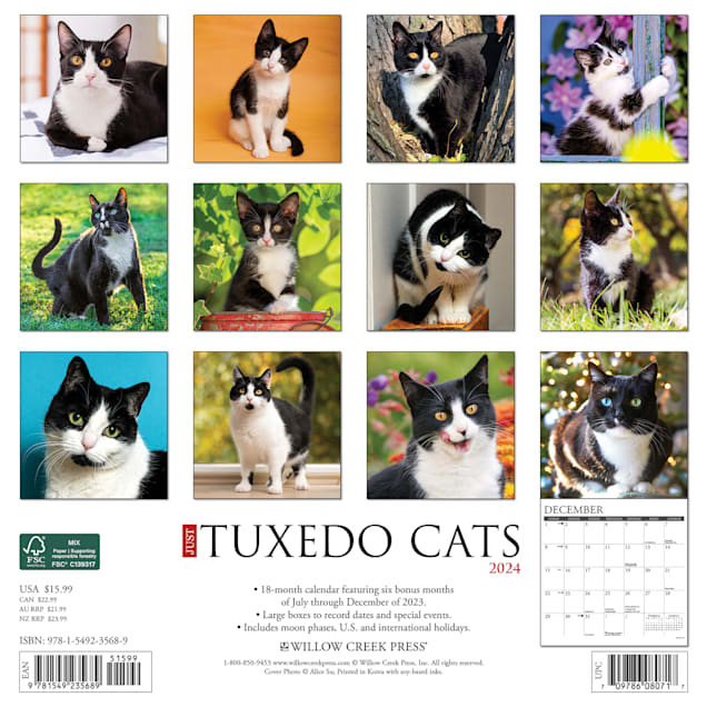 Willows cat toys uk discount