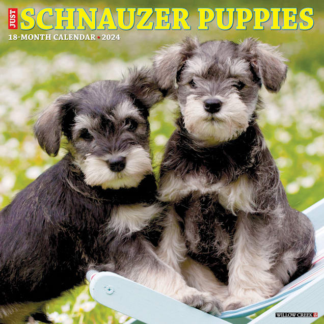 Willow creek puppies sales